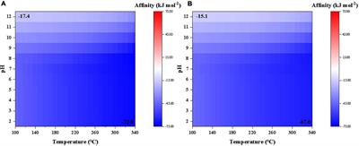 Evaluating the abiotic synthesis potential and the stability of building blocks of life beneath an impact-induced steam atmosphere